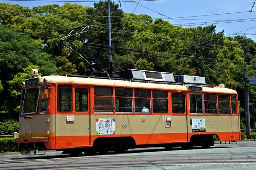 伊予鉄モハ50形走行シーン 伊予鉄モハ50形走行シーン 伊予鉄道,モハ50形,路面電車の写真素材