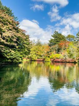 秋色映る雲場池の水面の写真