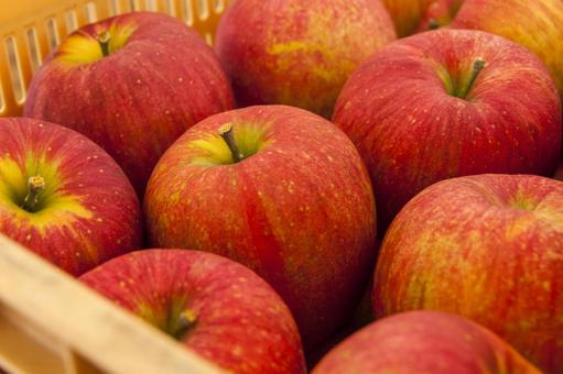 宮田村のリンゴ2 宮田村のリンゴ2 リンゴ,品種,食材の写真素材