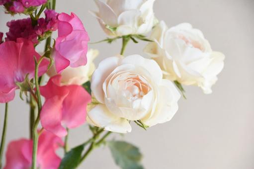 薔薇とスイートピー 薔薇とスイートピーの写真