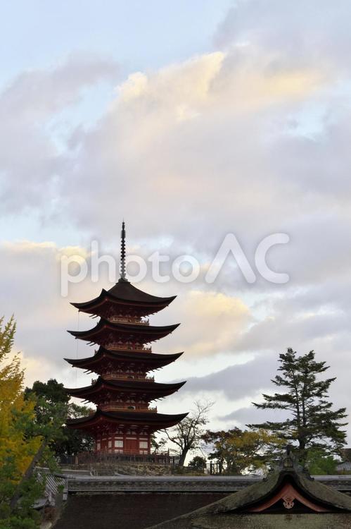 厳島神社から五重塔 厳島神社,五重塔,縦位置の写真素材