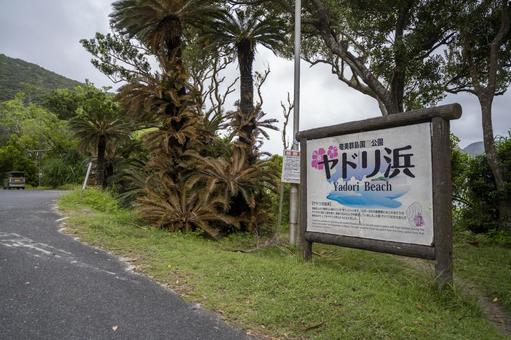 奄美大島 ヤドリ浜 奄美大島 ヤドリ浜の写真