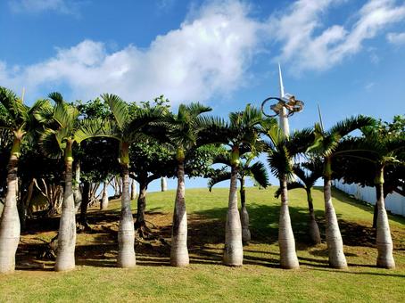 沖縄の風景 沖縄の風景 沖縄,okinawa,japanの写真素材