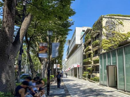 夏の表参道ヒルズ 夏の表参道ヒルズ 表参道,青山,表参道ヒルズの写真素材