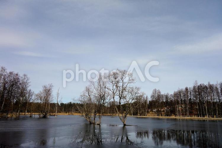 春を待つ北欧の風景 湖面,湖水,季節の写真素材