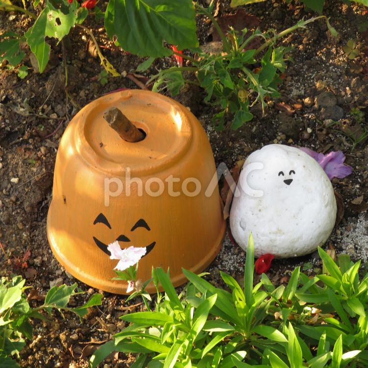 花壇で見つけたハロウィンかぼちゃとお化け ハロウィン,10月,下旬の写真素材