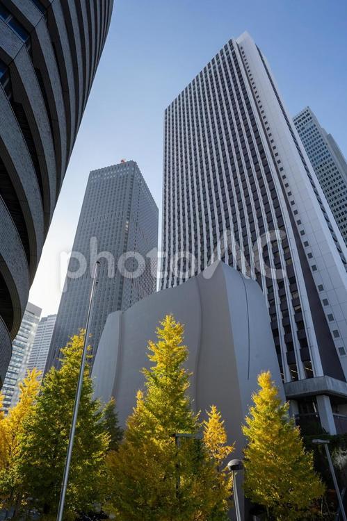 新宿周辺の景色 新宿,東京都,ビルの写真素材