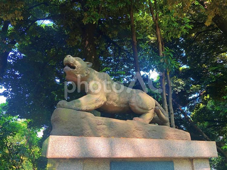 芝公園のカラフト犬の記念像 芝公園,カラフト犬,記念像の写真素材