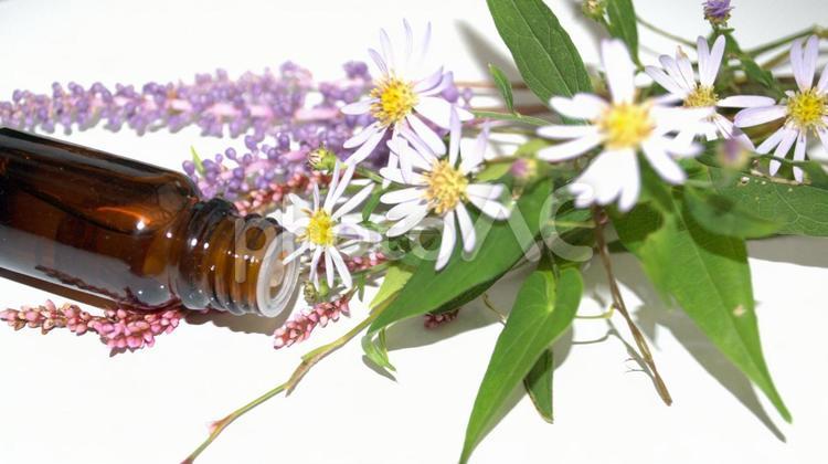 自然の草花とアロマオイルの瓶 アロマテラピー,アロマオイル,美容の写真素材