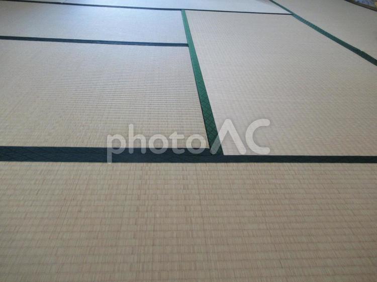和室に差し込む光 畳,和室,畳の目の写真素材