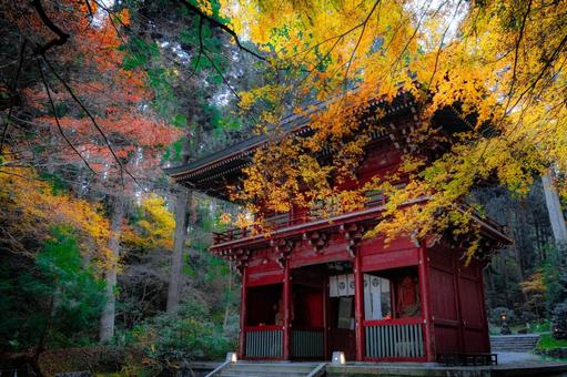 御岩神社 茨城県日立市 御岩神社 茨城県日立市 御岩神社,楼門,紅葉の写真素材