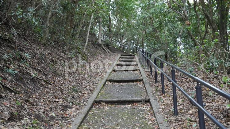 高舞登展望所への階段 高舞登展望所,山道,展望台の写真素材