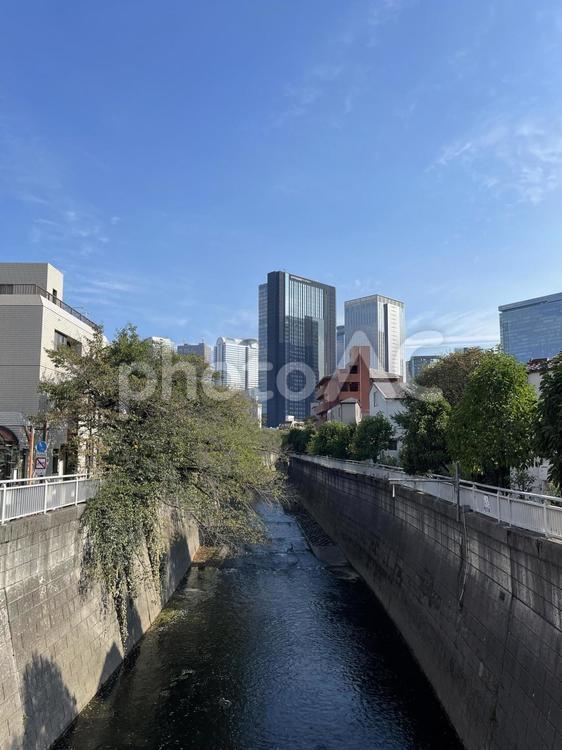 神田川9月：天高く秋の西新宿高層ビル 縦 高層,ビル,マンションの写真素材