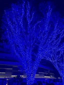 渋谷　青の洞窟の写真