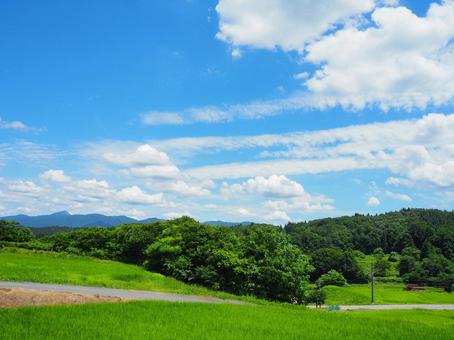 夏の景色18 夏の景色18 草原,山,木の写真素材