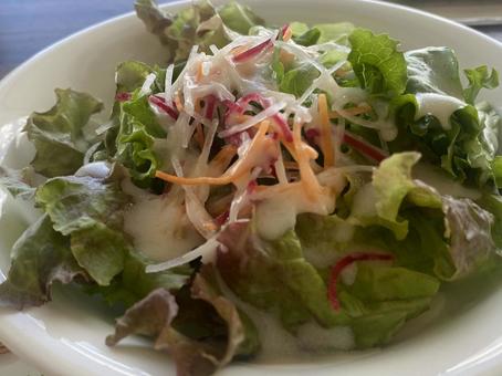 Photo, salad, salad plate, vegetables, 