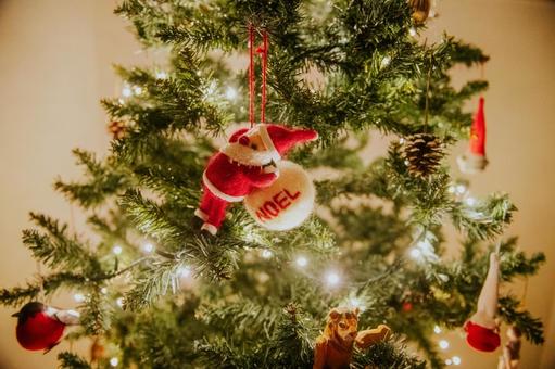クリスマスツリーのオーナメント クリスマスツリーのオーナメント クリスマス,クリスマスツリー,オーナメントの写真素材