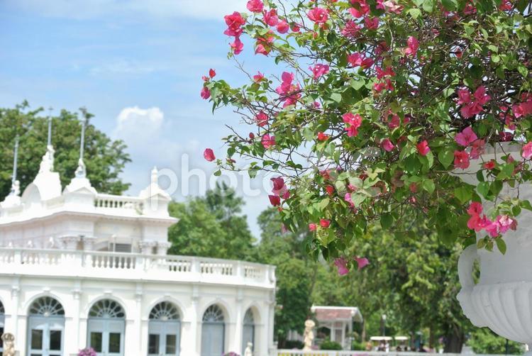 タイの風景 タイ,バンコク,建物の写真素材