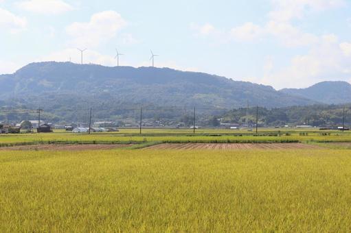風車が見下ろす刈り入れ時の田園風景 風車が見下ろす刈り入れ時の田園風景の写真