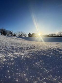 冬の朝 空,青,自然の写真素材