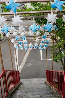 仙台八坂神社(24) 神社,仙台八坂神社,神社仏閣の写真素材