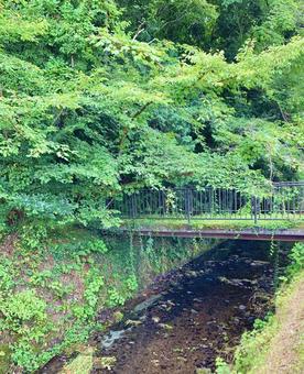 人の通らなくなった橋1 人の通らなくなった橋1 川,橋,草木の写真素材