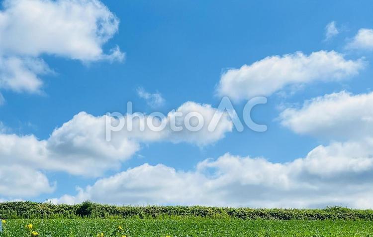 草原と青空と雲 空,雲,草原の写真素材