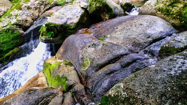白谷雲水峡に行く前に流れている川 屋久島,世界遺産,白谷雲水峡の写真素材