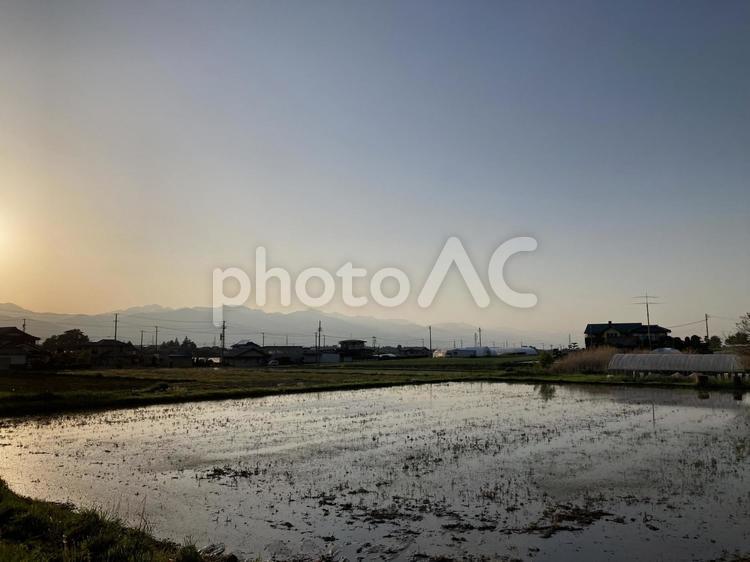 夕暮れの田んぼ 田んぼ,水田,水の写真素材
