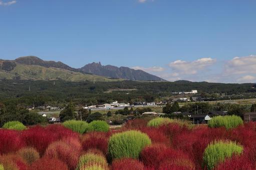 阿蘇山とコキア 阿蘇,南阿蘇,阿蘇山の写真素材