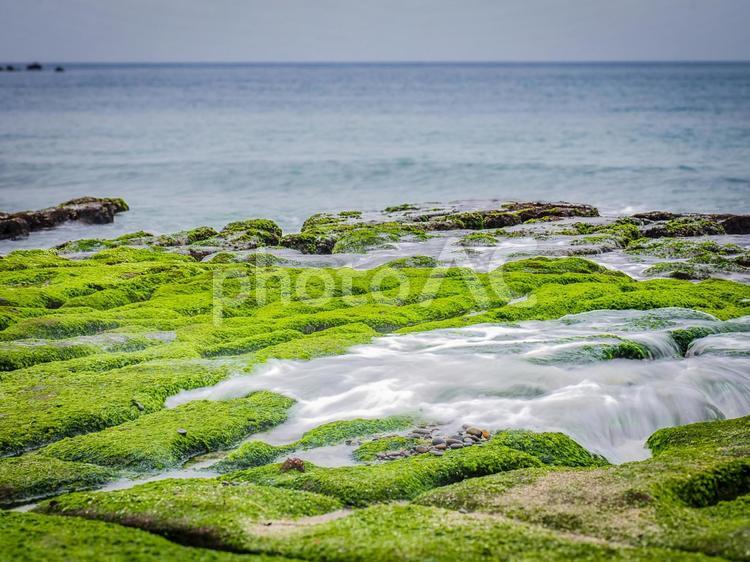 台湾-新北（石門_老梅沙灘_北岸） 海外,台湾,新北の写真素材