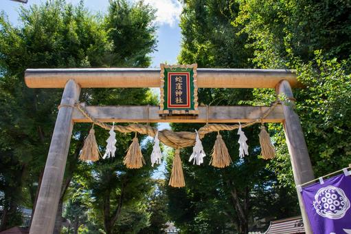 蛇窪神社の鳥居 蛇窪神社の鳥居 蛇窪神社,鳥居,パワースポットの写真素材