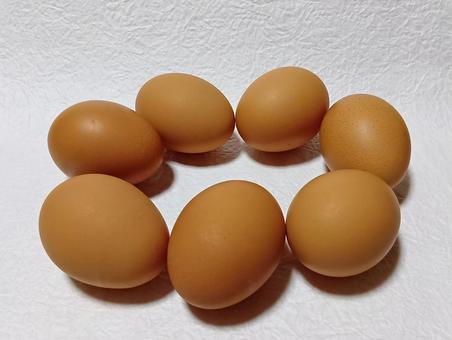 赤たまご 卵,たまご,生卵の写真素材