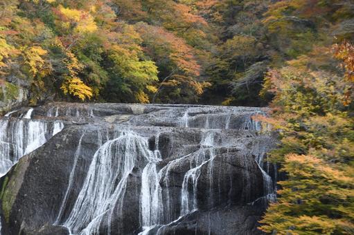 袋田の滝 滝,名瀑,日本三大名瀑の写真素材