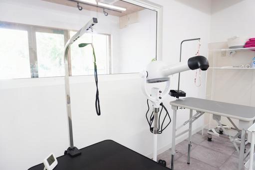 トリミング・ドッグサロン トリミング,トリミングサロン,トリマーの写真素材