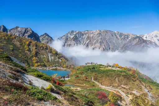 八方尾根の紅葉 八方尾根,長野,白馬の写真素材
