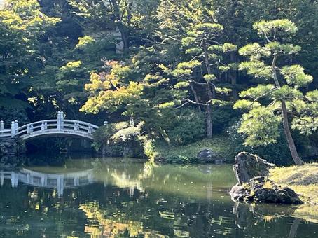 旧古河庭園 旧古河庭園 庭園,旧古河庭園,水鏡の写真素材