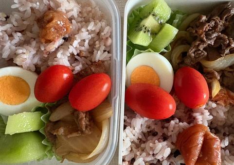 美味しいおそろい弁当 美味しいおそろい弁当 弁当,ミニトマト,手作りの写真素材
