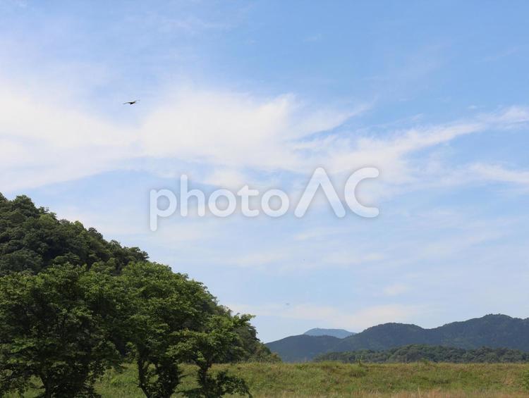 大きなきが映える青空の背景画像 山,木,空の写真素材