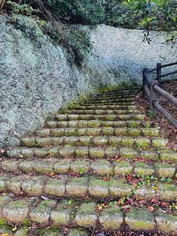 古道 苔 石段 古道 苔 石段の写真