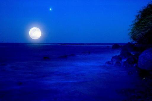 海を照らす月 海,月,夜空の写真素材
