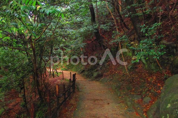 兵庫県-圓教寺-参道 圓教寺,寺,書寫山の写真素材