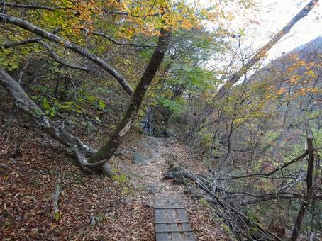 Ryuokyo Gorge (Scenery between Nijimi Bridge and Musasabi Bridge), JPG Ryuokyo Gorge (Scenery between Nijimi Bridge and Musasabi Bridge), JPG