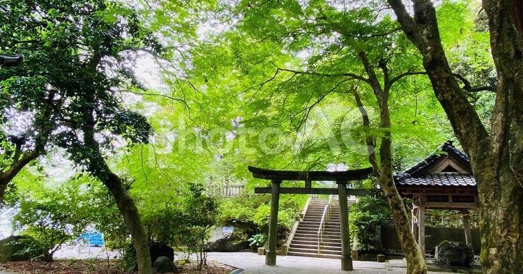 石川県金沢市の日本三大金運神社　金釼宮 石川県,金沢市,観光の写真素材