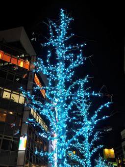 池袋のクリスマス・中心街＆ビル街・豊島区 池袋,クリスマス,イルミネーションの写真素材