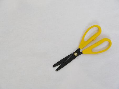 Scissors White Background Scissors White Background