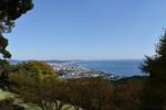 木々と山 海,穏やかな海,山の写真素材