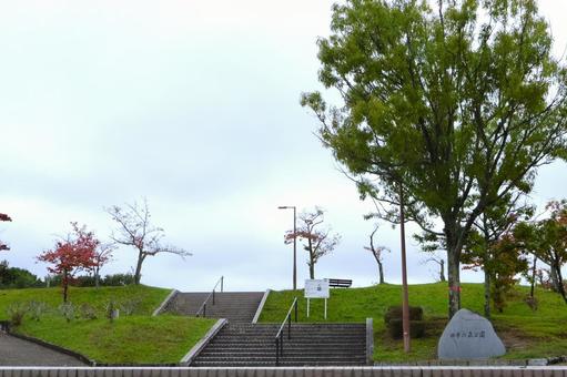 四季の森公園 生駒市 学研北生駒 四季の森公園 生駒市 学研北生駒 四季の森公園,生駒市,生駒の写真素材