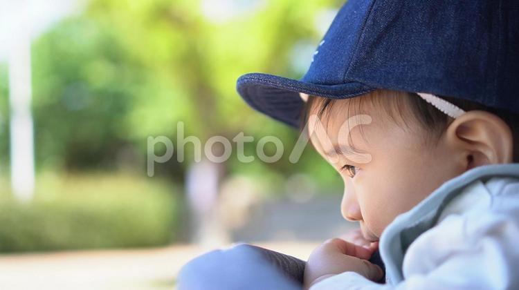 目線の先はハト 赤ちゃん,ベビー,asianの写真素材