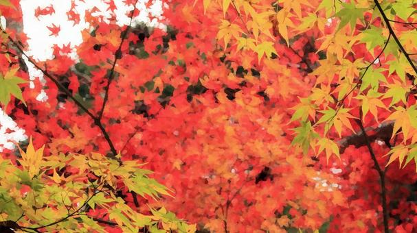 紅葉 水彩画風(画像デフォルメ) 紅葉 水彩画風(画像デフォルメ) 紅葉,秋,もみじの写真素材